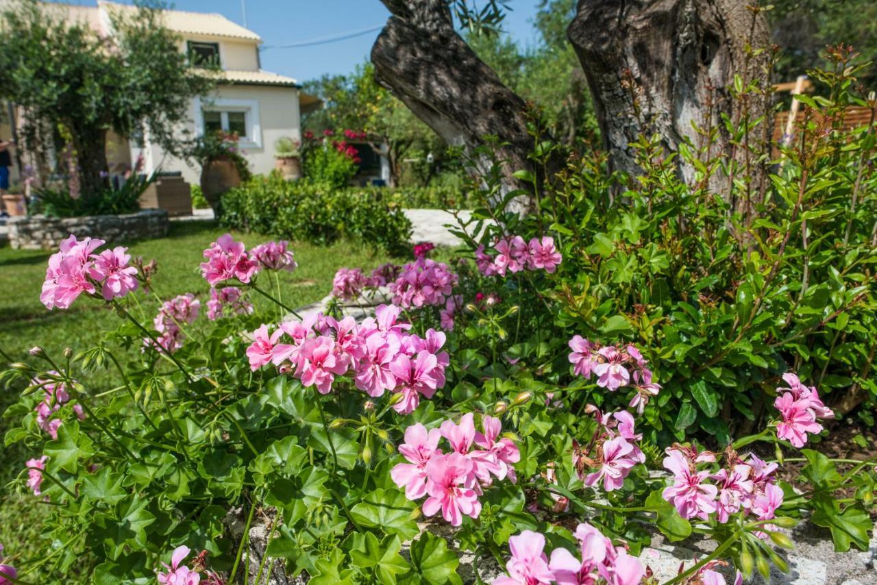 Corfu Villa Linea Línia エクステリア 写真